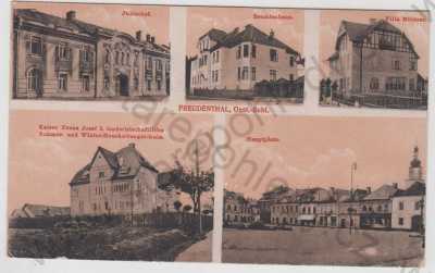  - Bruntál (Freudenthal), více záběrů, náměstí, Julienhof, Beamtenhaus, Villa Mildner, škola, František Josef I.